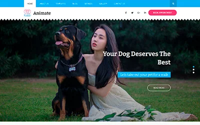 Animate Lite WordPress Theme