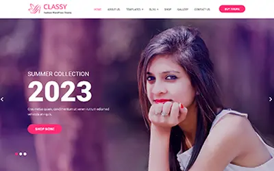 Classy Lite Fashion Store WooCommerce WordPress Theme